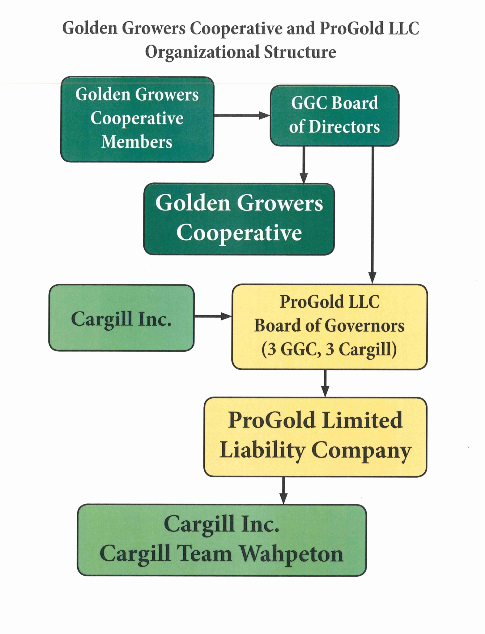 Organizational Structure Golden Growers Cooperative 